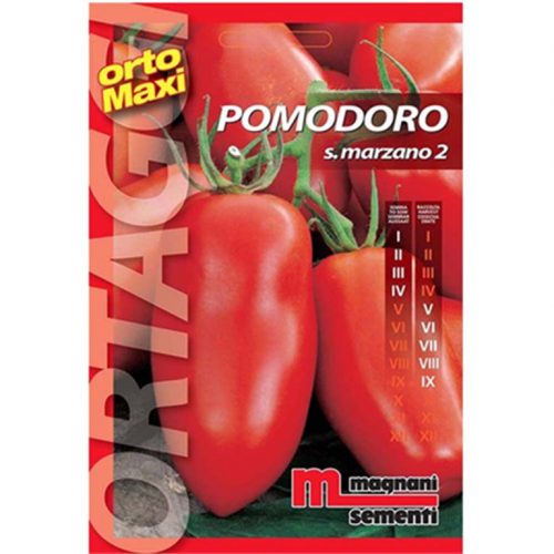 Pomodoro S.Marzano 2 dal colore rosso intenso ha il frutto cilindrico allungato di media pezzatura