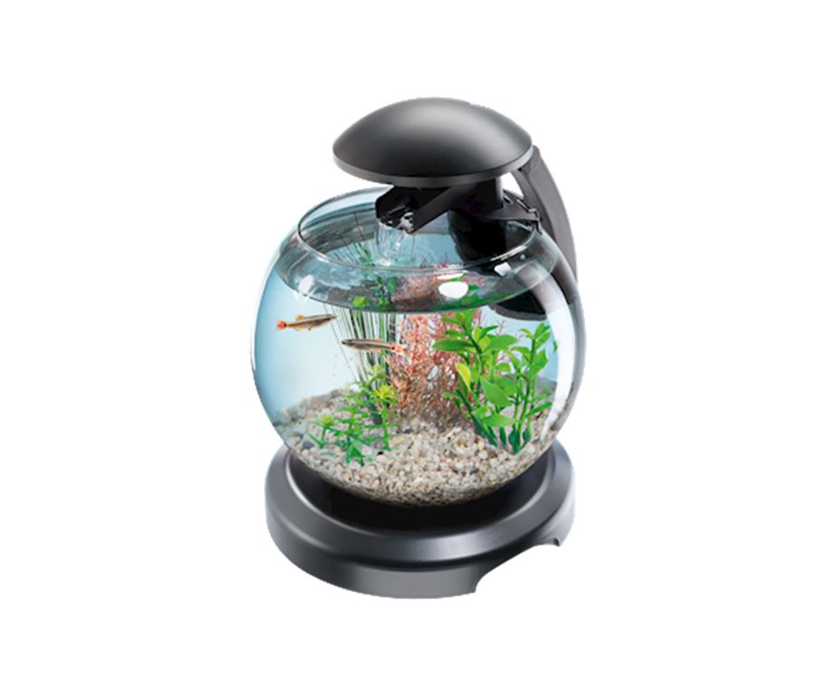 Cascade Globe – Boccia di vetro con filtro - semplice da allestire e da mantenere.
